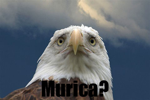 Murica?