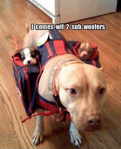 I comes wif 2 sub woofers