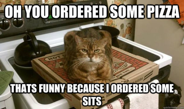 OH YOU ORDERED SOME PIZZA
 THATS FUNNY BECAUSE I ORDERED SOME SITS