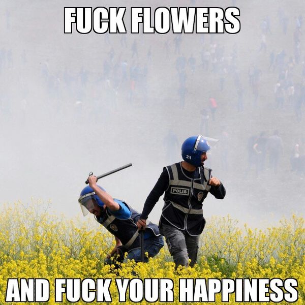 F✡✞K FLOWERS AND F✡✞K YOUR HAPPINESS