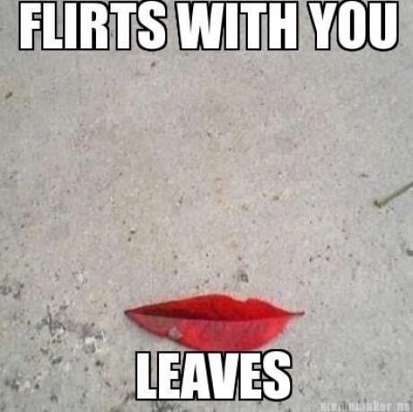 FLIRTS WITH YOU
 LEAVES