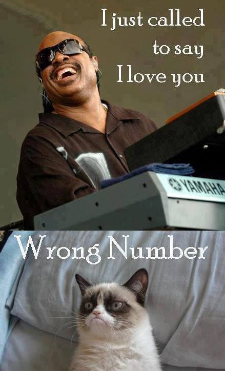 I just called to say I love you
 Wrong Number