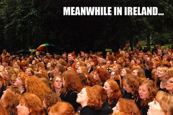 MEANWHILE IN IRELAND ...