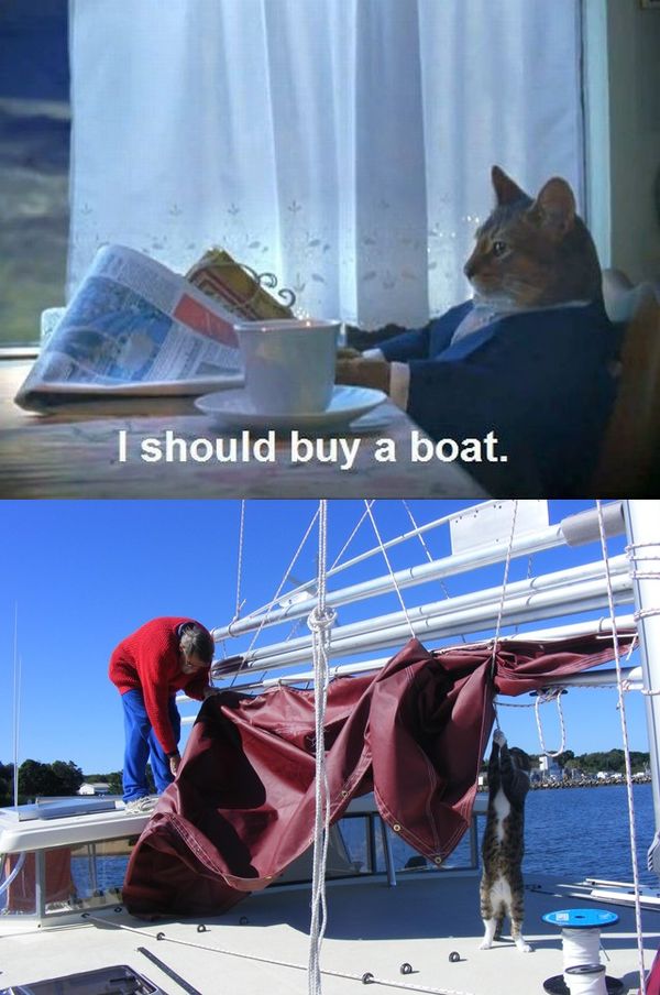 I should buy a boat.