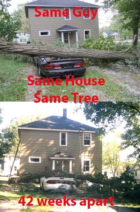 Same Guy
 Same House
 Same Tree
 42 weeks apart