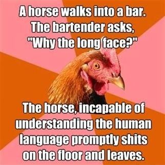 A horse walks into a bar. The bartender asks, 'Why the long face?'
 The horse, incapable of understanding the human language promptly shits on the floor and leaves.