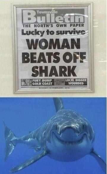 Lucky to survive  WOMAN BEATS OFF SHARK