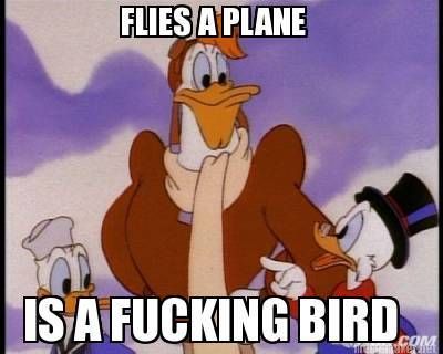 FLIES A PLANE
 IS A F✡✞KING BIRD