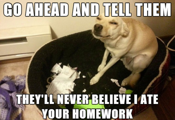 GO AHEAD AND TELL THEM
 THEY'LL NEVER BELIEVE I ATE YOUR HOMEWORK