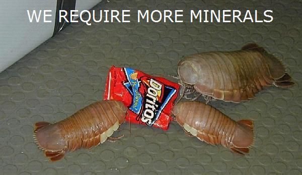 WE REQUIRE MORE MINERALS