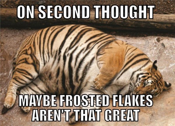 ON SECOND THOUGHT
 MAYBE FROSTED FLAKES AREN'T THAT GREAT