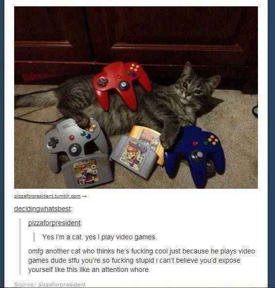 Yes I'm a cat, yes I play video games.
 omfg another cat who thinks he's f✡✞king cool just because he plays video games dude stfu you're so f✡✞king stupid i can't believe you'd expose yourself like this like an attention wh***