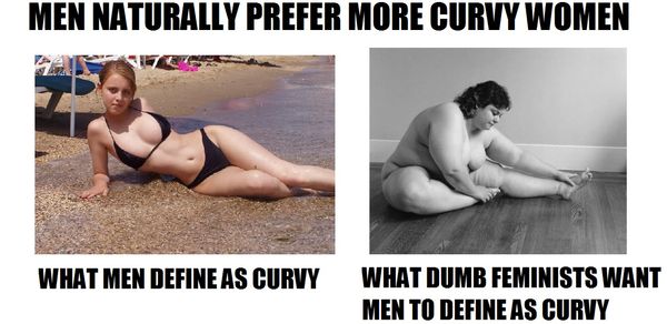 MEN NATURALLY PREFER MORE CURVY WOMEN
 WHAT MEN DEFINE AS CURVY
 WHAT DUMB FEMINISTS WANT MEN TO DEFINE AS CURVY