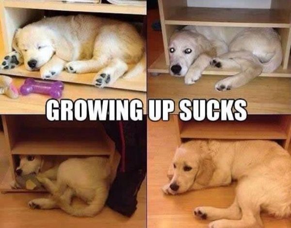 GROWING UP SUCKS