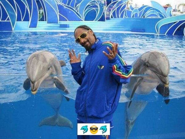 cool dolphin snoop dog lion