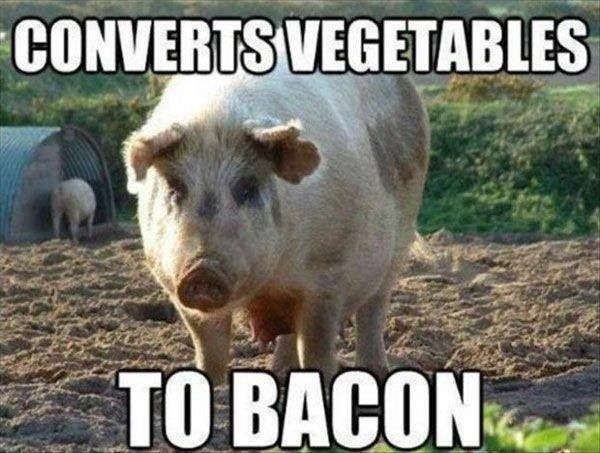 CONVERTS VEGETABLES TO BACON