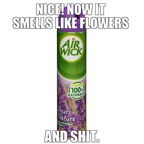 NICE! NOW IT SMELLS LIKE FLOWERS AND SHIT.