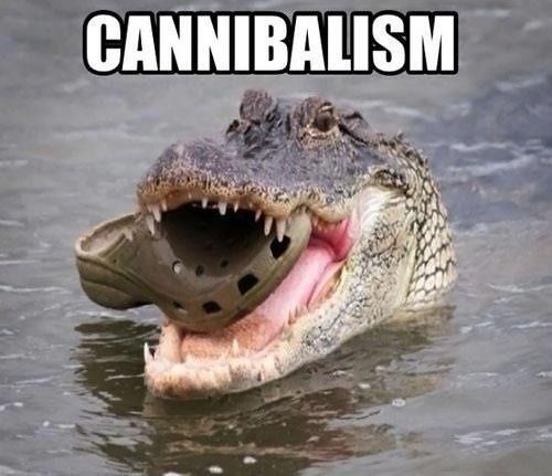 CANNIBALISM