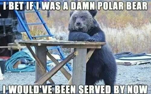 I BET IF I WAS A DAMN POLAR BEAR I WOULD'VE BEEN SERVED BY NOW