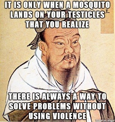 IT IS ONLY WHEN A MOSQUITO LANDS ON YOUR TESTICLES THAT YOU REALIZE THERE IS ALWAYS A WAY TO SOLVE PROBLEMS WITHOUT USING VIOLENCE