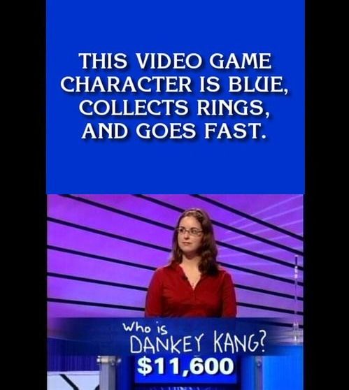 THIS VIDEO GAME CHARACTER IS BLUE, COLLECTS RINGS AND GOES FAST.
 Who is DANKEY KANG?