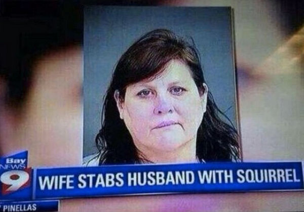 WIFE STABS HUSBAND WITH SQUIRREL