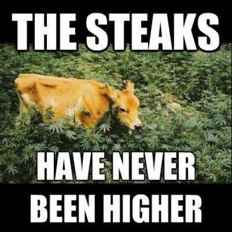THE STEAKS HAVE NEVER BEEN HIGHER