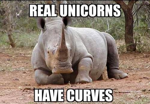 REAL UNICORNS HAVE CURVES
