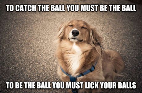 TO CATCH THE BALL YOU MUST BE THE BALL
 TO BE THE BALL YOU MUST LICK YOUR BALLS