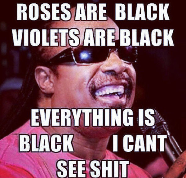 ROSES ARE BLACK
 VIOLETS ARE BLACK
 EVERYTHING IS BLACK
 I CANT SEE SHIT