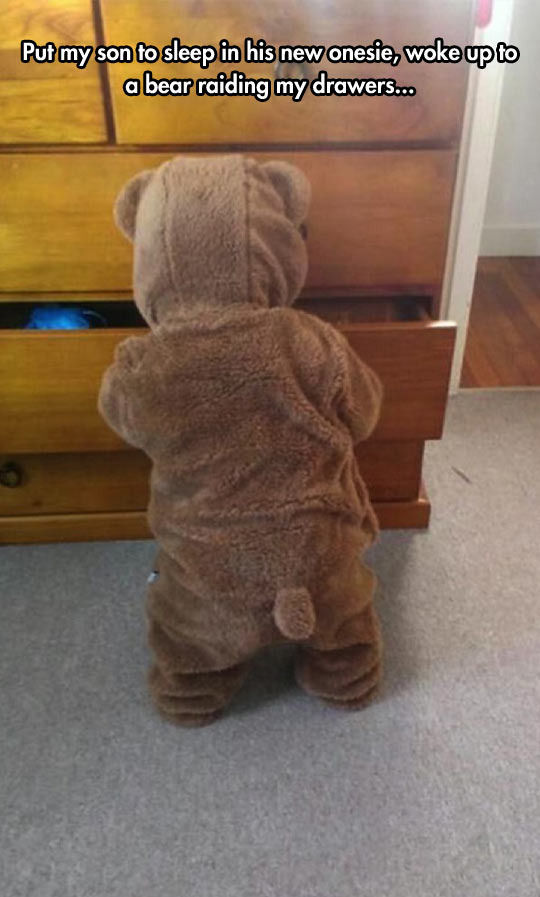 Put my son to sleep in his new onesie, woke up to a bear raiding my drawers...