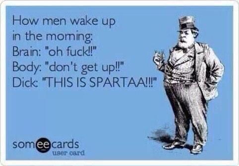 How men wake up in the morning:
 Brain: 'oh f✡✞k!!'
 Body: 'don't get up!!'
 Dick: 'THIS IS SPARTAA!!!'
