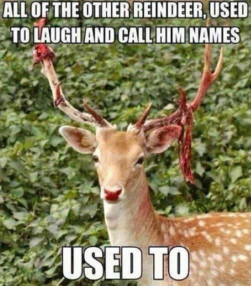 ALL OF THE OTHER REINDEER USED TO LAUGH AND CALL HIM NAMES
 USED TO
