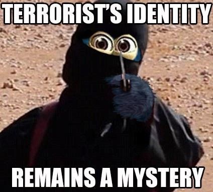 TERRORIST'S IDENTITY REMAINS A MYSTERY