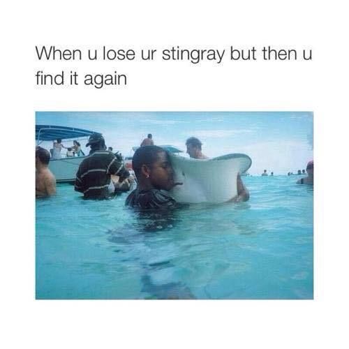 When u lose a stingray but then u find it again