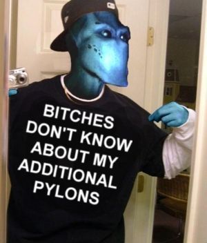 BITCHES DON'T KNOW ABOUT MY ADDITIONAL PYLONS
