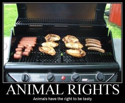 ANIMAL RIGHTS Animals have the right to be tasty.