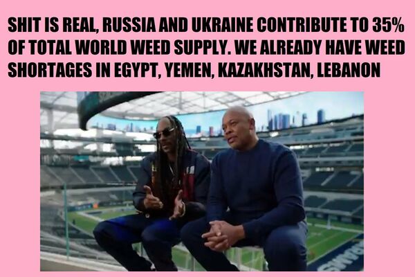 SHIT IS REAL, RUSSIA AND UKRAINE CONTRIBUTE TO 35% OF TOTAL WORLD WEED SUPPLY. WE ALREADY HAVE WEED SHORTAGES IN EGYPT, YEMEN, KAZAKHSTAN, LEBANON