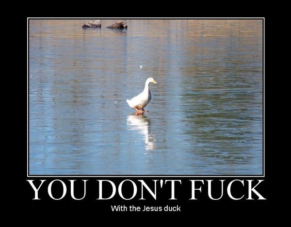 YOU DON'T F✡✝K With the Jesus duck