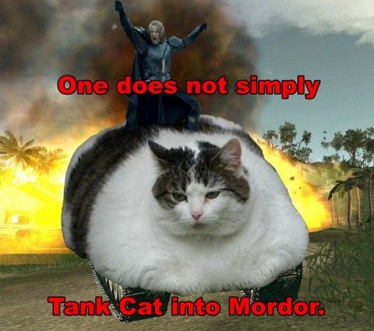 One does not simply Tank Cat into Mordor.