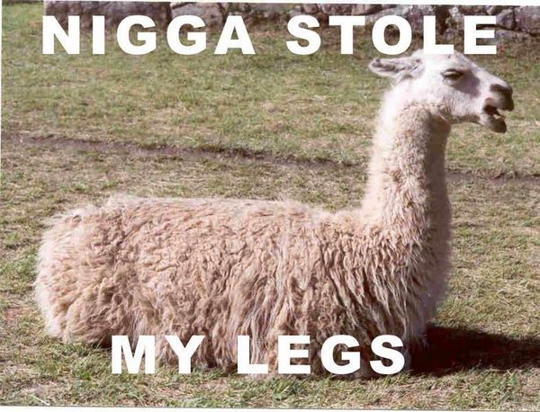 NIGGA STOLE MY LEGS