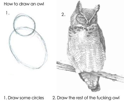How to draw an owl 1. Draw some circles 2. Draw the rest of the f✡✝king owl