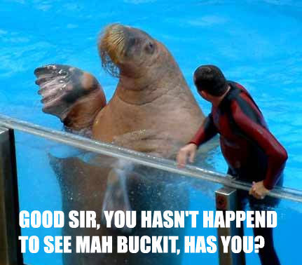 GOOD SIR, YOU HASN'T HAPPEND TO SEE MAH BUCKIT, HAS YOU?