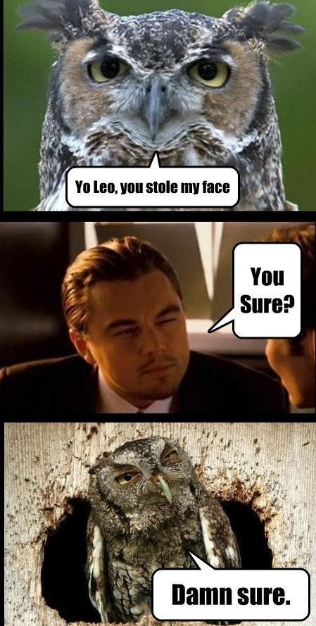 Yo Leo, you stole my face You Sure? Damn sure.